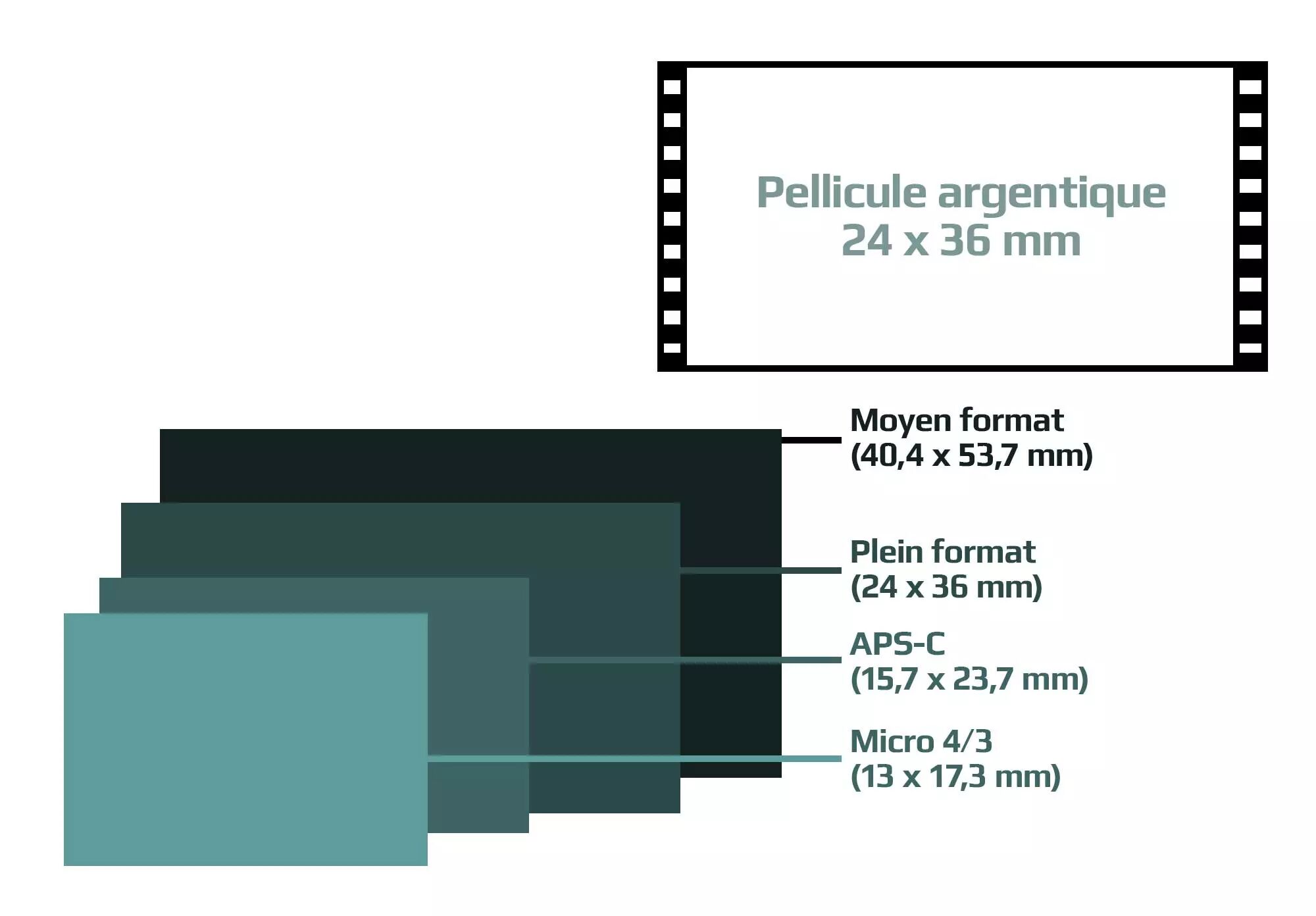 Les différents types de capteurs photographiques