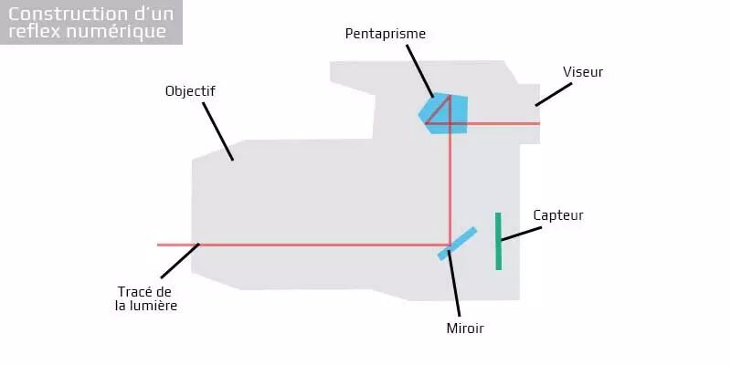 Construction interne d'un reflex