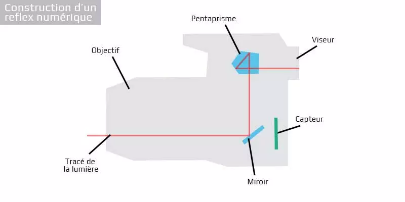 Construction interne d’un reflex