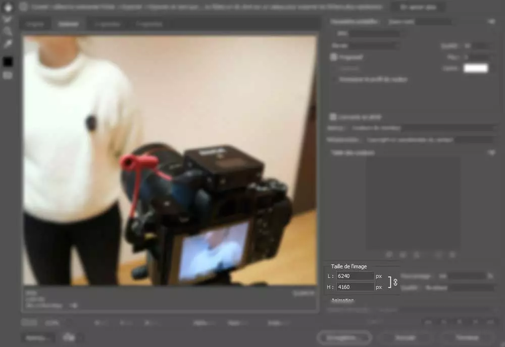 Exemple de résolution dans un logiciel d’édition de photos