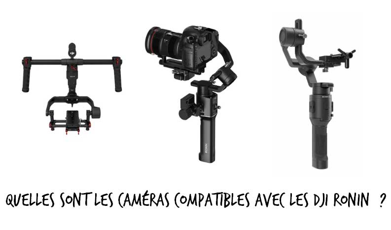 Quelles sont les caméras compatibles avec les DJI Ronin