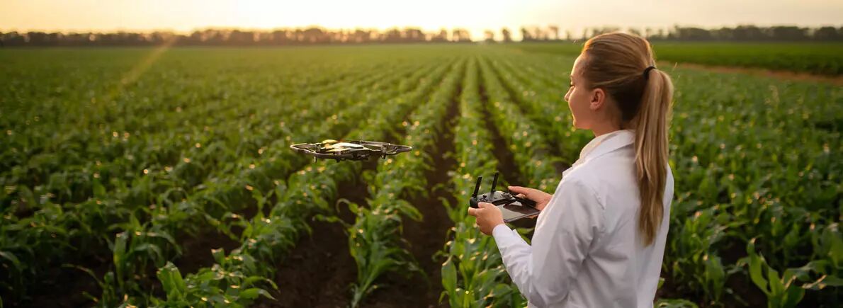 Utilisation drone agriculture