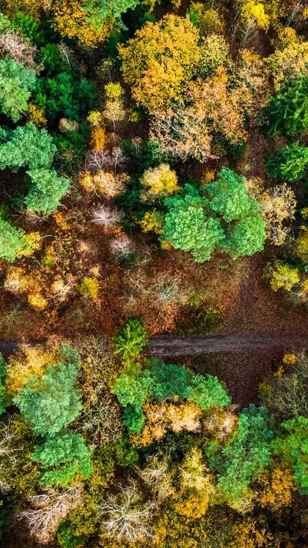 Fort vue par drone