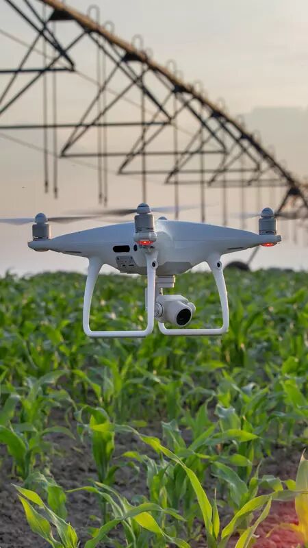 Observation plante drone