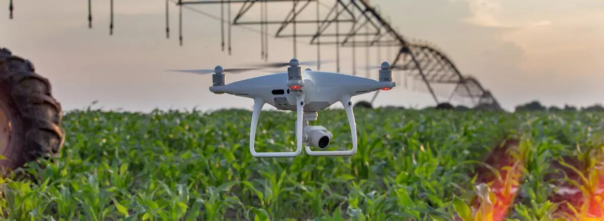 Drone agriculture analyse terrain