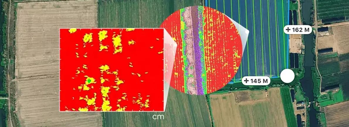 Indice NDVI prise de vue multispectrale