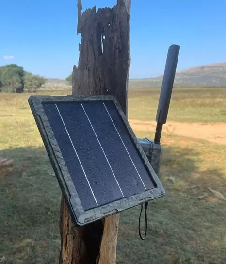 Panneau solaire alimentant un pige photographique