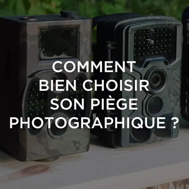 Comment bien choisir son pige photographique ?