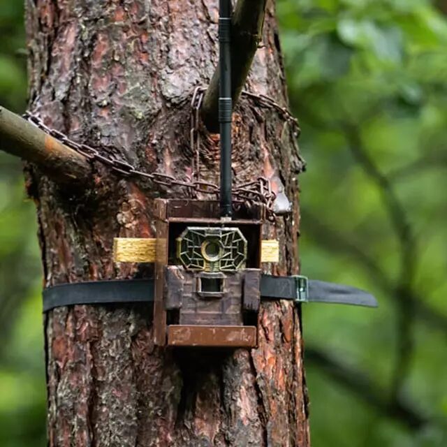 Pige photo camouflage