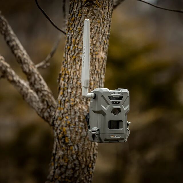 Guide d'achat piges photographiques