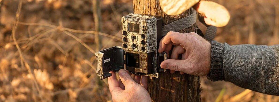 Guide d'achat piges photographiques