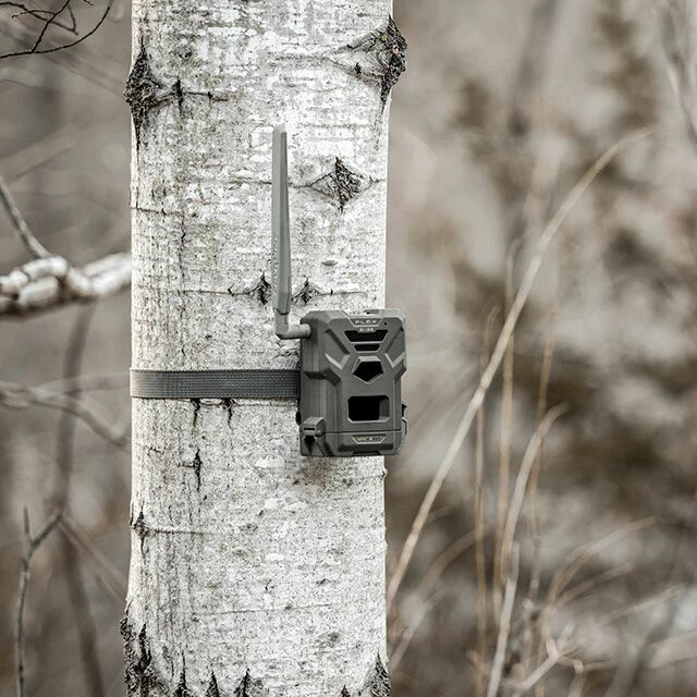 Guide d'achat piges photographiques