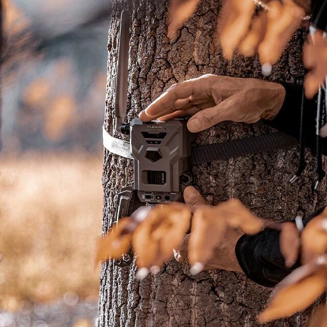 Guide d'achat piges photographiques