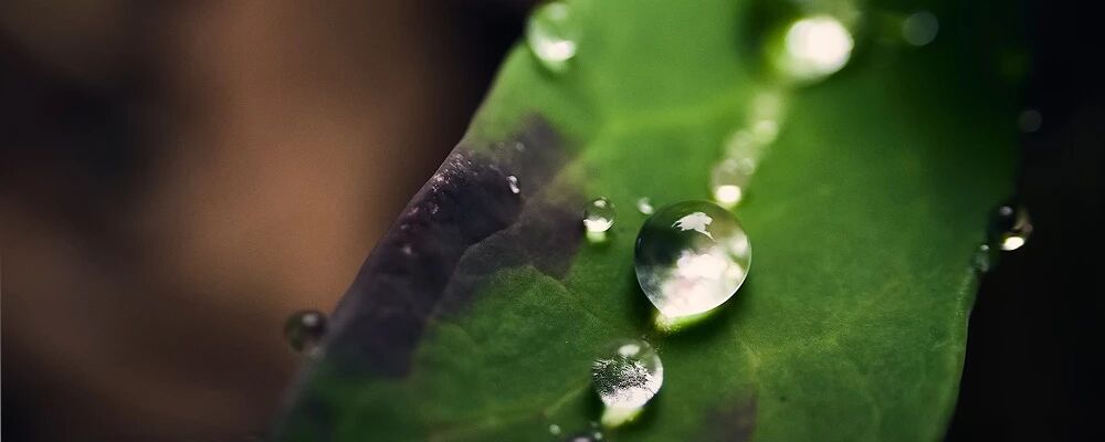 sigma-16-300-dc-os-dl-2.jpg