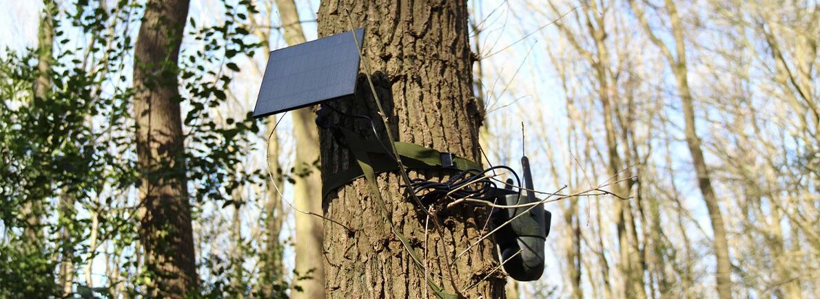 Pige photographique quip d'un panneau solaire