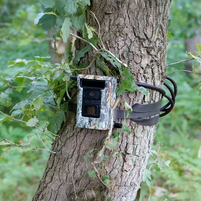 Caisson de protection pour pige photographique