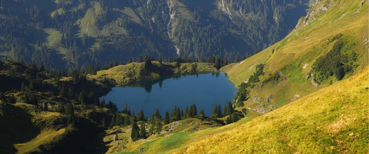 canon-r6-III-24-105 (2).jpg canon-r6-III-24-105 (2).jpg