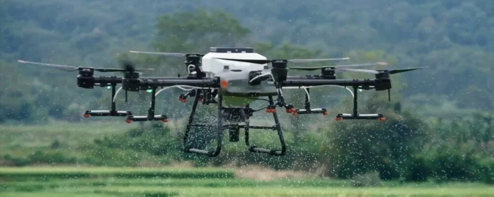 Une capacit&eacute; de traitement professionnelle.jpg