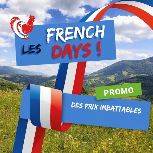 Banni�re g�n�rique French Days printemps