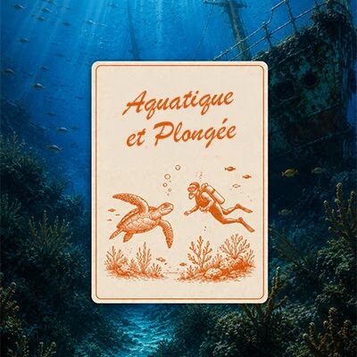 Aquatique & plong�e - Incontournables de l'�t� studioSPORT