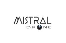 Team Mistral