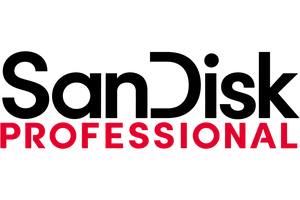 SanDisk   Professionnal