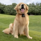 DJI Osmo Nano Standard Combo (64Go)