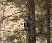 Adaptateur Cell-Link pour pièges photographiques - Spypoint