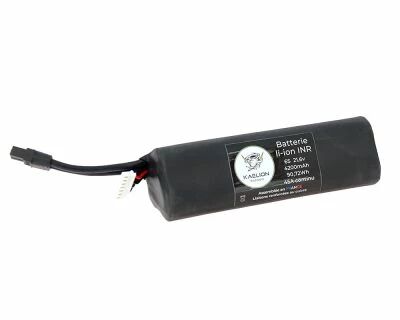 Batterie 6S - 4200Ah - 45A -Longue