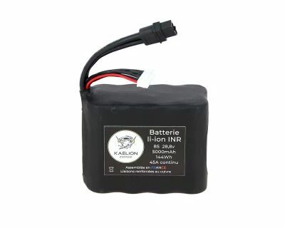 Batterie 8S - 5000Ah - 45A