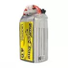 Batterie LiPo R-Line V4 6S 1300mAh XT60 - Tattu