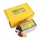 Batterie LiPo R-Line V4 6S 1550mAh 130C XT60 - Tattu