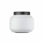 Caméra Insta360 GO 2
