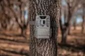 Caméra Prime Low Glow - Bushnell
