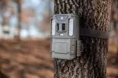 Caméra Prime Low Glow - Bushnell