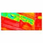 Cam&eacute;ra thermique Vision Basic pour FJD Trion P2 - FJDynamics
