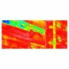 Cam&eacute;ra thermique Vision Max pour FJD Trion P2 - FJDynamics