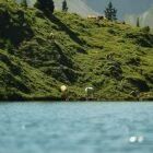 Canon EOS R6 III avec objectif RF 24-105mm f/4-7,1 IS STM