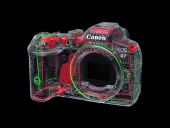 Canon EOS R7 (boîtier nu) + Bague EF-EOS R