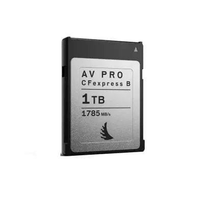 Carte CFexpress AV PRO MK2 1To - Angelbird