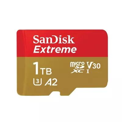 Carte microSDXC Extreme 1TB V30 A2 - SanDisk 