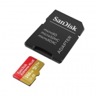 Carte microSDXC Extreme 256 Go Classe 10 U3 - SanDisk