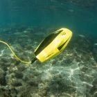 Chasing Dory Backpack Package