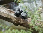 DJI Mavic 3 Classic (avec DJI RC) 