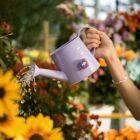 DJI Mic Mini 2 (2 TX + 1 RX + bo&icirc;tier de recharge)