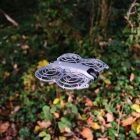 DJI Neo 2
