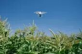 DJI Phantom 4 Multispectral
