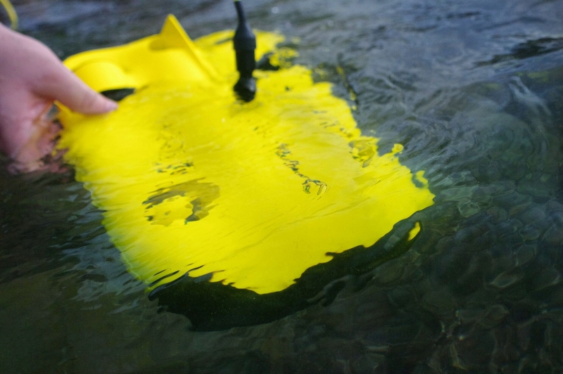 chasing innovation gladius mini dans l'eau