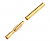 Fiche Bullet Gold 2mm Mâle et femelle