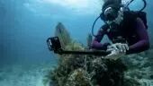 GoPro Hero13 Black